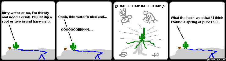 png/accs0310.png