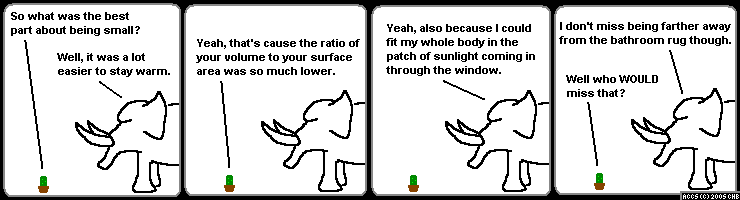 png/accs0731.png