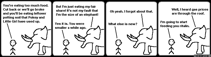 png/accs0823.png